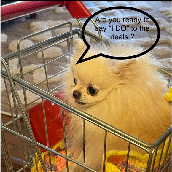 Robins_nest2 🐦🪺🪺🐦 - Picture 3 of 3